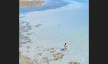 Imagem 6: Maragogi - Praia de Antunes