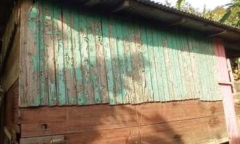 Imagem 5: Sitio para descansar com muitas frutíferas valor 85,900,00 avista