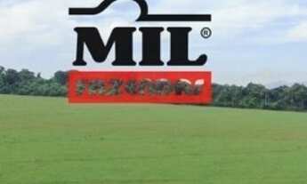 Imagem 2: 82 Alq. (397 Há). Terra Cultura c/ Soja e Pasto. 50 km de Goiânia