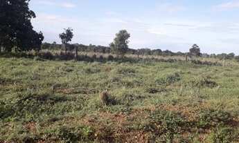 Imagem 5: 231 Alqs Região de Safra e Safrinha Ótima em Tudo Vale do AraguaiaTO