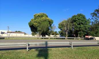 Imagem 6: CAMPOS DOS GOYTACAZES - AREA - PARQUE SANTOS DUMONT