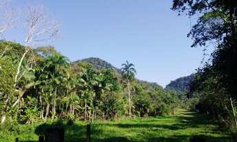 Imagem 2: Sitio tipo fazendinha com 111.000 mil m2