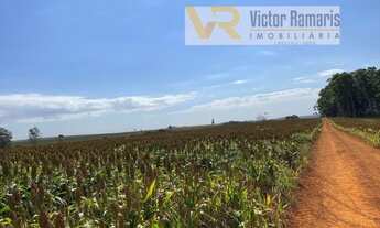 Imagem 4: Fazenda no Município de Patos de Minas-MG