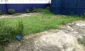 Imagem 3: Aluga-se Excelente Galpão