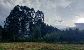 Imagem 3: Linda fazenda em Urubici