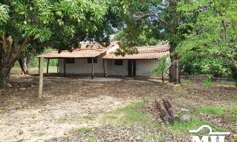 Imagem 7: Fazenda 100 alqueires ( 484 hectares ) Cavalcante-GO