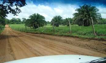 Imagem 5: SITIO NO TREVO DE POLONI INIGUALÁVEL NA REGIÃO 24,5 ALQ