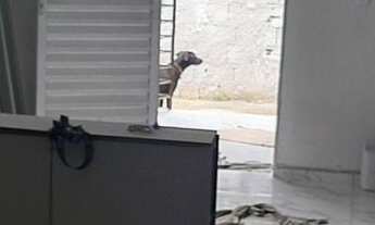 Imagem 3: Alugo casa 300 reais não paga água nem luz