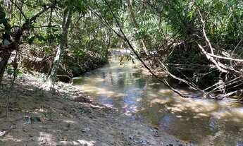 Imagem 5: Chácaras de 20 mil mt a venda 3km da cidade de Cromínia!