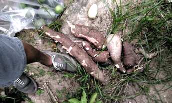 Imagem 2: 100% legalizado próximo do centro, 450m2, aceito oferta..