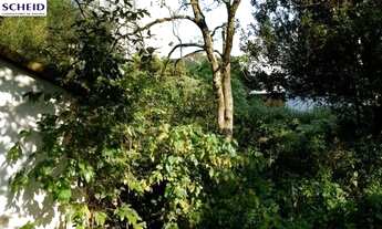 Imagem 3: Terreno comercial próximo ao cento, condução na porta