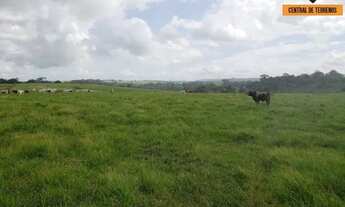Imagem 4: FAZENDA EM SÃO SEBASTIÃO DO PASSÉ