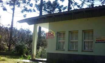 Imagem 3: Casa com 3 dormitórios à venda, 236 m², área de 9.565 m2 por R$ 2.450.000 - Rancho Alegre