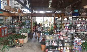 Imagem 4: PARAÍSO VERDE NO MOSQUEIRO