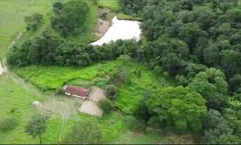 Imagem 3: Fazenda 12 alqueires entre Girassol e Cocalzinho de Goiás