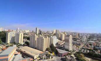 Imagem 7: Apartamento para Aluguel - Cambuci, 2 Quartos, 39 m2