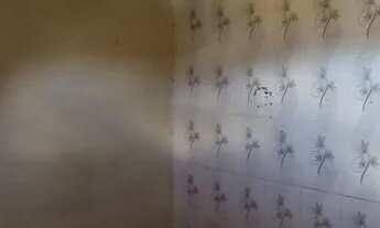 Imagem 4: Kitnet com 5 cômodos