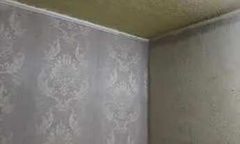 Imagem 4: Aluga casas no jd.pinhal,perto do bosque maia