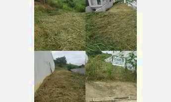 Imagem 6: Lote no Cidade Nova