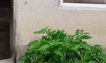 Imagem 2: Casa no antonio lins mata do rolo