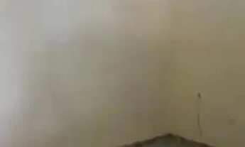 Imagem 5: ? Casa de aluguel 4 cômodos