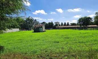 Imagem 2: BORDA DO CAMPO PIRAQUARA COM VISTA PARA SERRA