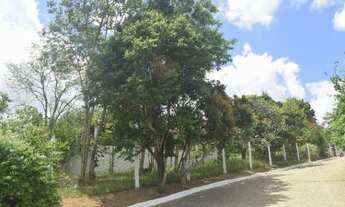 Imagem 7: Sítio na Serra do Vitorino 1600m2