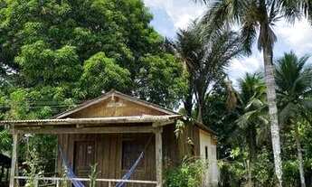 Imagem 7: Vende se sítio no Ramal do Urubui, km 4.5, Presidente Figueiredo