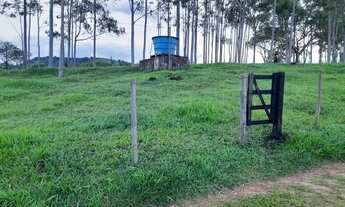 Imagem 3: Sitio em capitinga 44 alqueires 7.480.000.00 ( isa