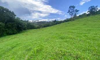 Imagem 2: T.e - Vende-se o melhor terreno no interior