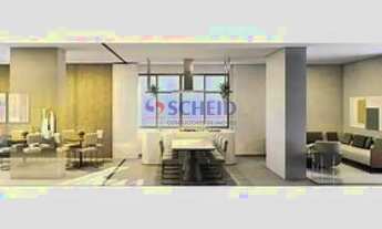 Imagem 5: Um OASIS dentro da Vila Mariana