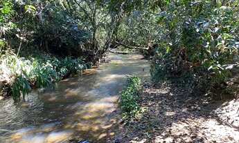 Imagem 4: Chácaras de 20 mil mt a venda 3km da cidade de Cromínia!