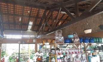 Imagem 5: PARAÍSO VERDE NO MOSQUEIRO