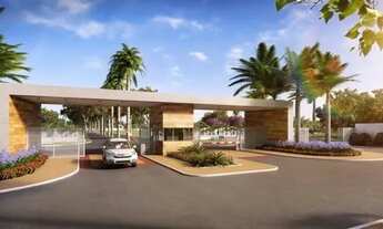 Imagem: MOSAICO PONTA NEGRA