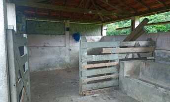 Imagem 3: Venda Fazenda Nossa Senhora Aparecida