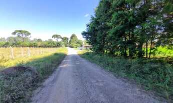 Imagem 6: BORDA DO CAMPO PIRAQUARA COM VISTA PARA SERRA