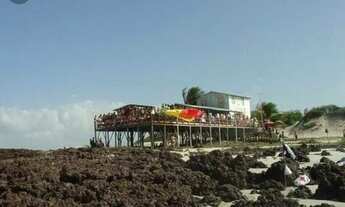 Imagem 3: Terreno na Ilha de Algodoal