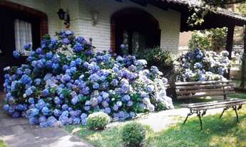 Imagem 3: Casa no Condomínio Laje de Pedra em Canela!