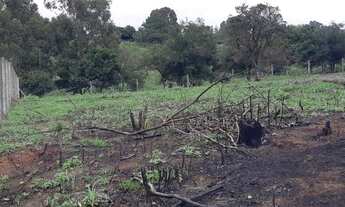 Imagem 6: Itaara - Terreno Padrão - Vila Etelvina
