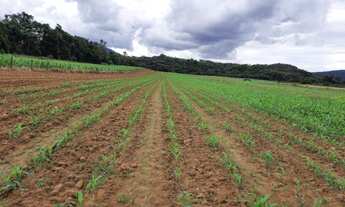 Imagem: Sítio em Santo Amaro da Imperatriz no Sul