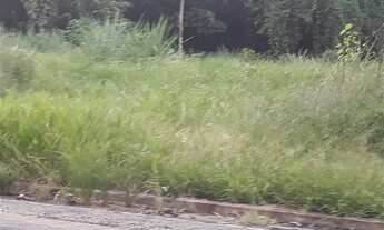 Imagem 3: Registro - Terreno Padrão - Jardim Lebrom