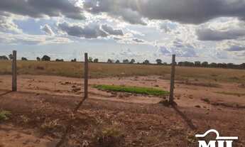 Imagem 3: Arrendamento Agrícola em Nova Crixas-GO (726 Há