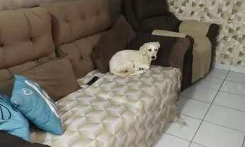 Imagem 2: Apartamento (quitado