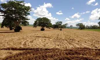 Imagem 2: Chácara em Oscar Bressane SP, com exclusividade