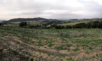 Imagem 1: Lote/Terreno para venda possui 500 metros quadrados em Centro - Cotia - SP