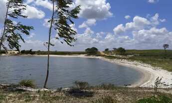 Imagem 6: Lotes Ha 900M Da Praia Em Paracuru, 6X25 . de imediato