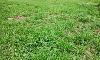 Imagem 7: AREA PARA CONSTRUÇÃO DE PREDIO 6 ANDARES BONFIM PAULISTA