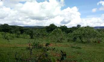 Imagem 2: Terra pelo crédito fundiário