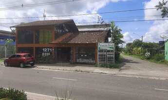 Imagem: PARAÍSO VERDE NO MOSQUEIRO