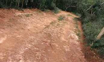 Imagem 2: Lotes no bairro Ouro fino